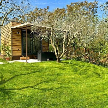 Seregner Agricamping & Homes - Adults Only 18 Monzambano Eksteriør bilde